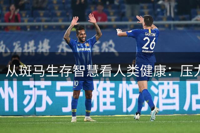 从斑马生存智慧看人类健康：压力为何成为致病元凶