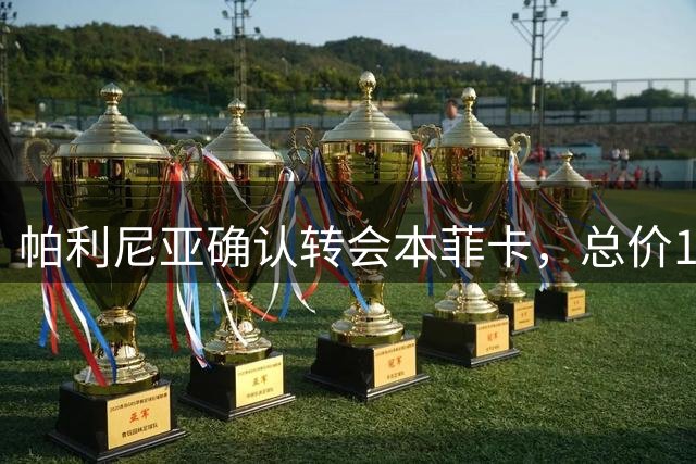 帕利尼亚确认转会本菲卡，总价1900万欧元