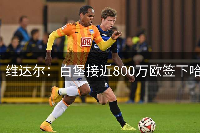 维达尔：白堡接近800万欧签下哈科沃，皇马保留回购或优先权